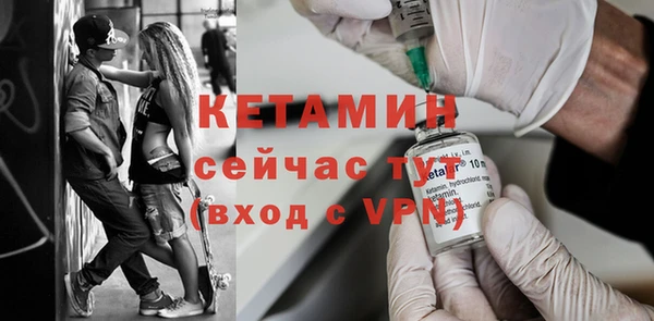 хмурый Ельня