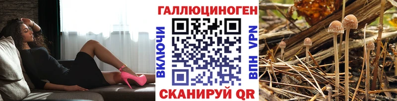 маркетплейс наркотические препараты  Баймак  Галлюциногенные грибы MAGIC MUSHROOMS  цены наркотик 